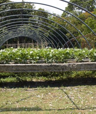 arentur-ciudad-de-la-habana-dpo-mav-plantacion