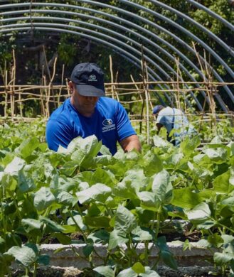 arentur-ciudad-de-la-habana-dpo-mav-plantacion-mantenimiento