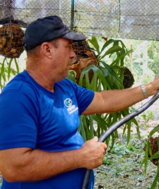 arentur-ciudad-de-la-habana-dpo-mav-plantas-riego