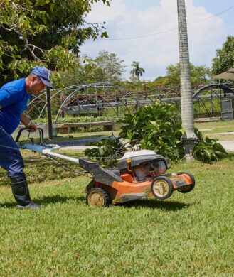 arentur-ciudad-de-la-habana-dpo-mav-poda-cesped