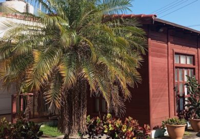 emprestur-sa-villa-clara-servicios-ciudado-mantenimiento-jardineria