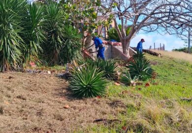 emprestur-sa-villa-clara-servicios-ciudado-mantenimiento-naturaleza-jardines