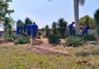 emprestur-sa-villa-clara-servicios-ciudado-mantenimiento-naturaleza-jardines-brigada