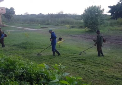 emprestur-sa-villa-clara-servicios-ciudado-mantenimiento-naturaleza-poda