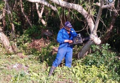 emprestur-sa-villa-clara-servicios-ciudado-mantenimiento-naturaleza-poda-arboles