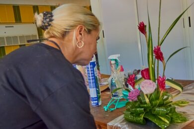 sucursal-arentur-varadero-detalles-flores